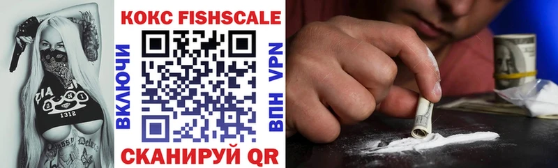 COCAIN Fish Scale Купить Котово