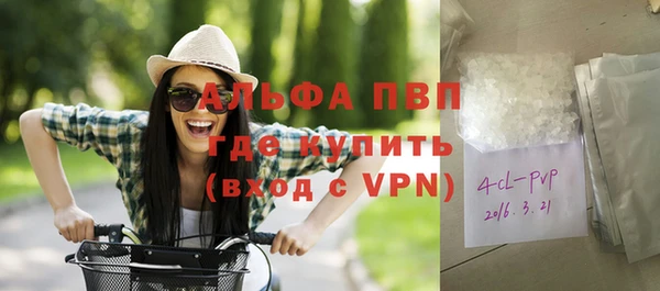 PSILOCYBIN Краснослободск