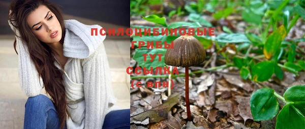 PSILOCYBIN Краснослободск