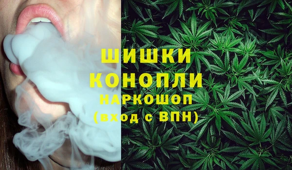 PSILOCYBIN Краснослободск